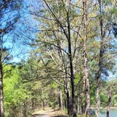 Review photo of Daingerfield State Park Campground by P , April 8, 2021