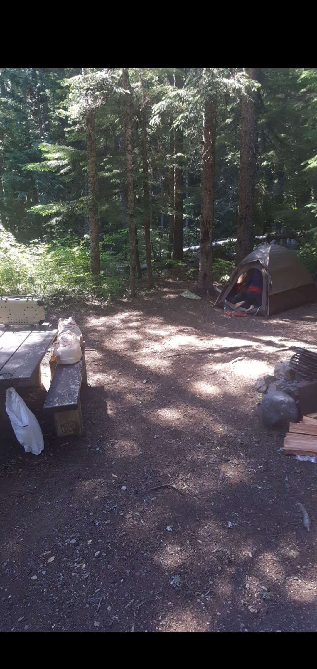 Camper submitted image from Frog Lake - 5