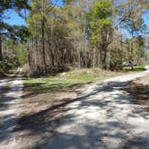 Review photo of Bearhead Hammock Primitive Campsites by Carol C., April 8, 2021