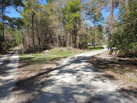Camper submitted image from Bearhead Hammock Primitive Campsites - 2