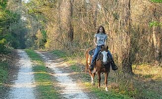 Carol C.'s photo of camping with a horse at Bearhead Hammock Primitive Campsites — Withlacoochee State Forest near Lacoochee, FL
