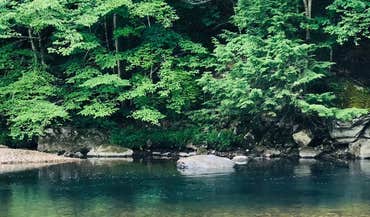 Jamaica State Park photo 5