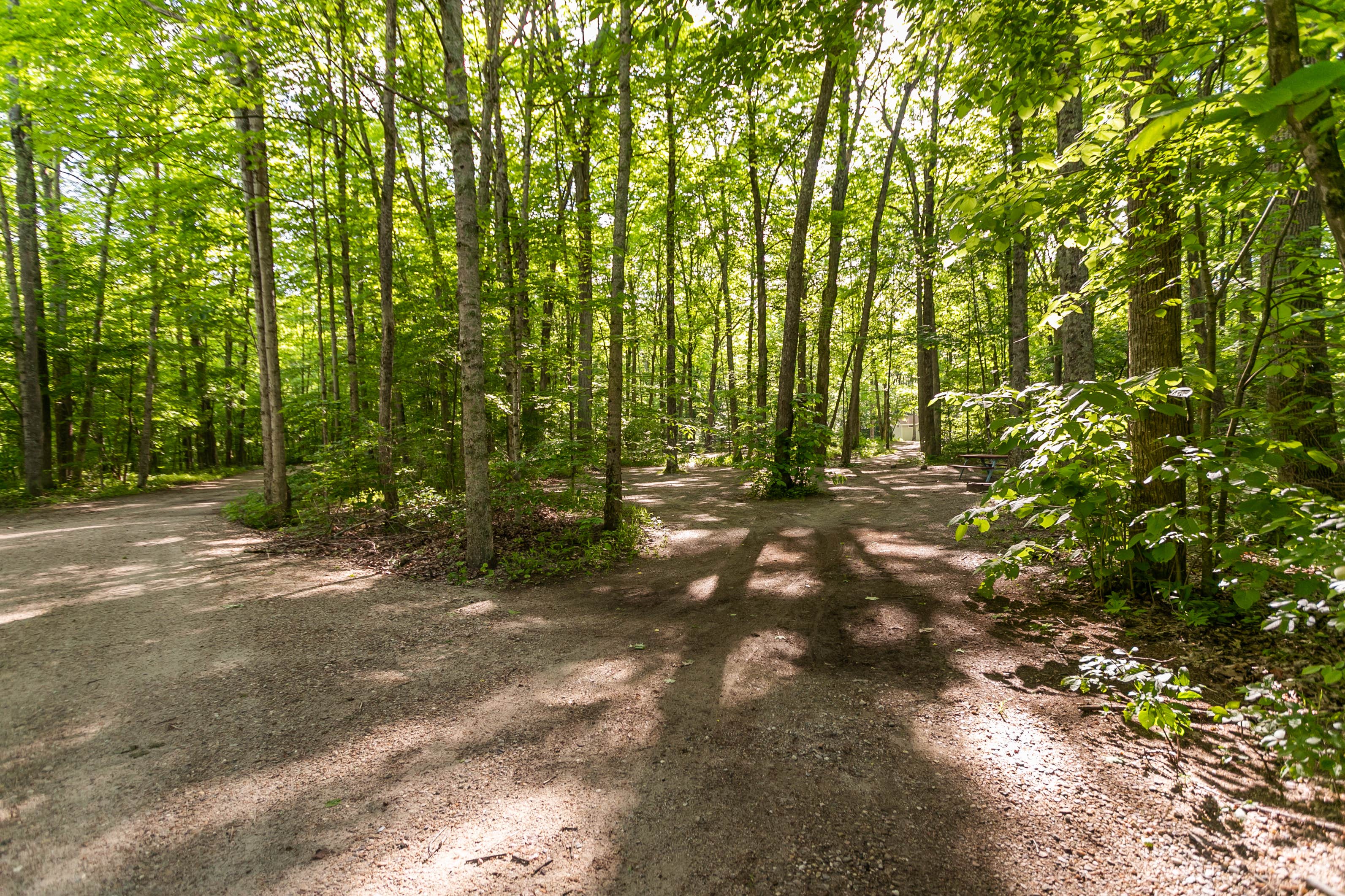 Camper-submitted photo at Camping On The Battenkill near Stillwater, NY