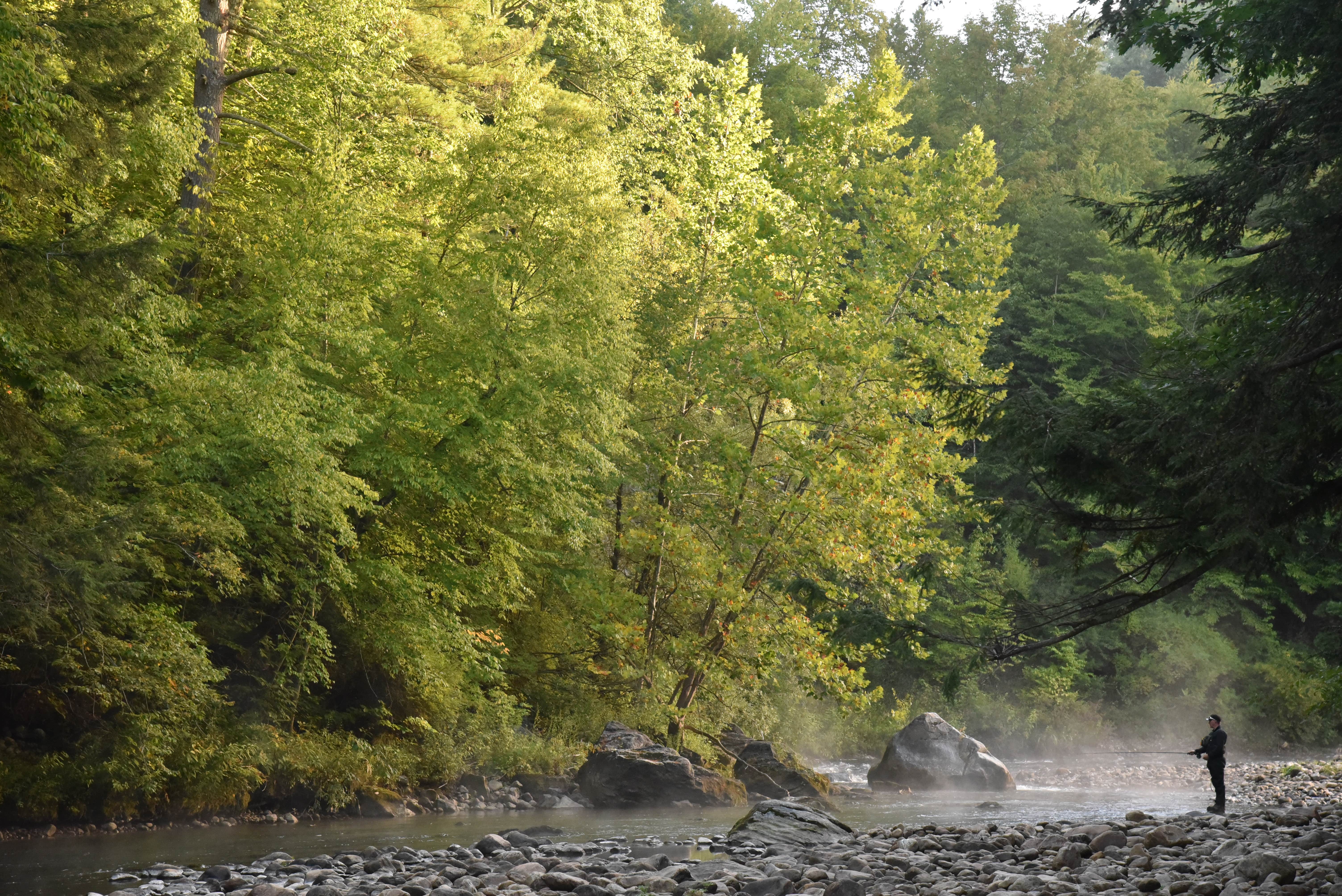 Camper-submitted photo at Camping On The Battenkill near Stillwater, NY