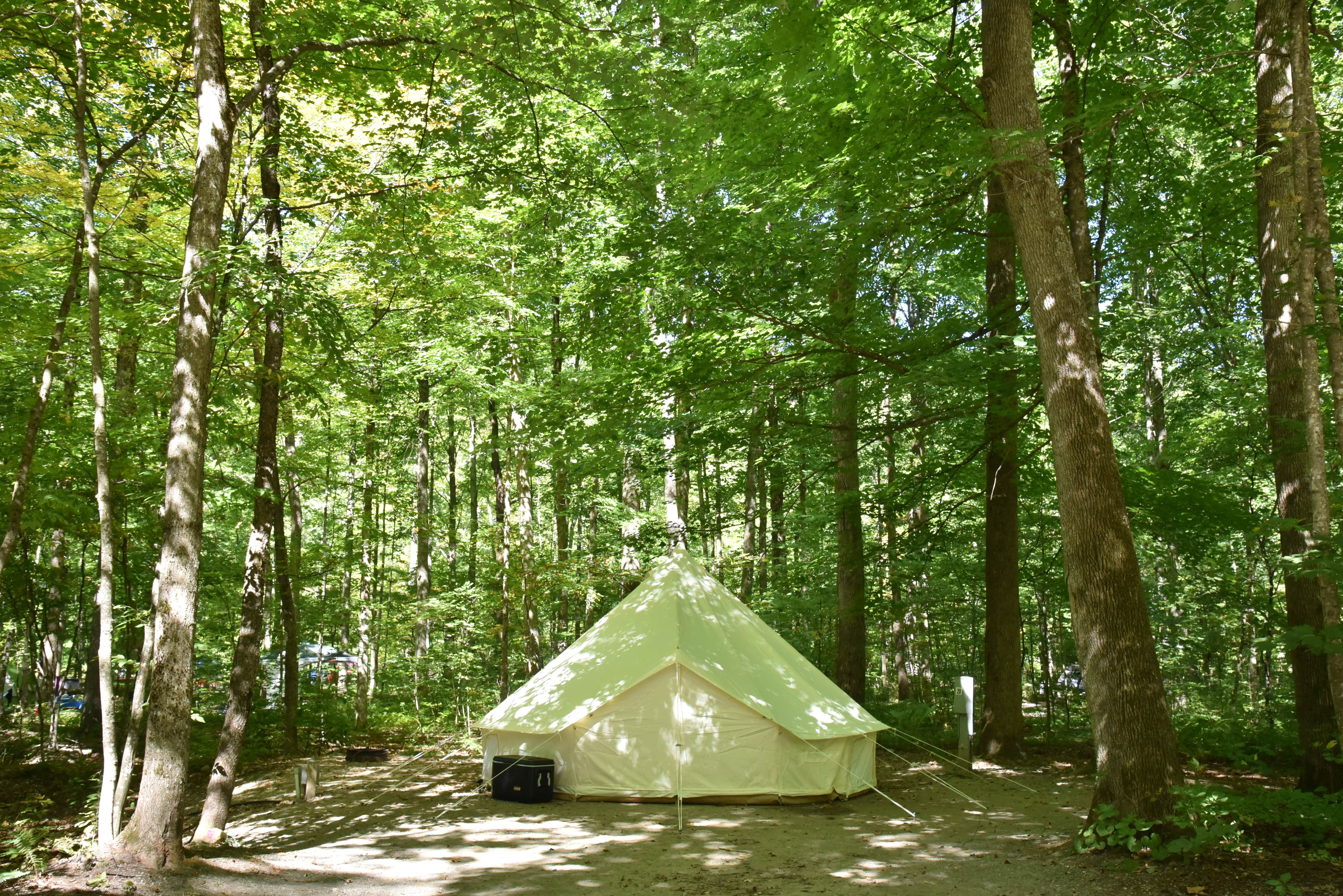 Modern America C.'s photo at Camping On The Battenkill near Peru, VT