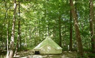Modern America C.'s photo at Camping On The Battenkill near North Bennington, VT