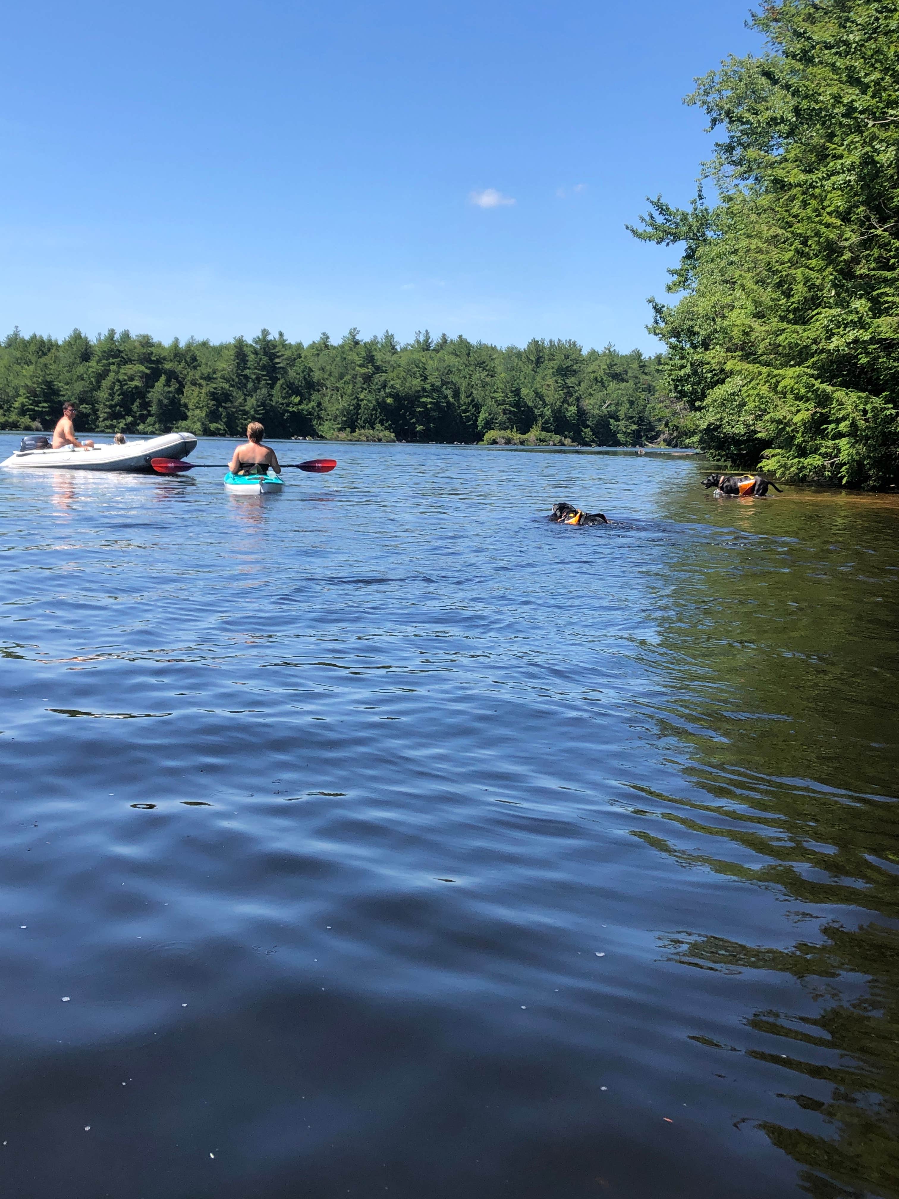 Escape to the Wilderness: Your Guide to Tolland State Forest in Massachusetts