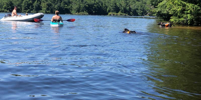 Camper submitted image from Tolland State Forest Campground