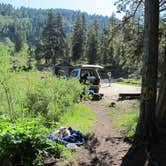 Review photo of Chapman Campground And Group Camp - White River NF by Lise F., April 8, 2021