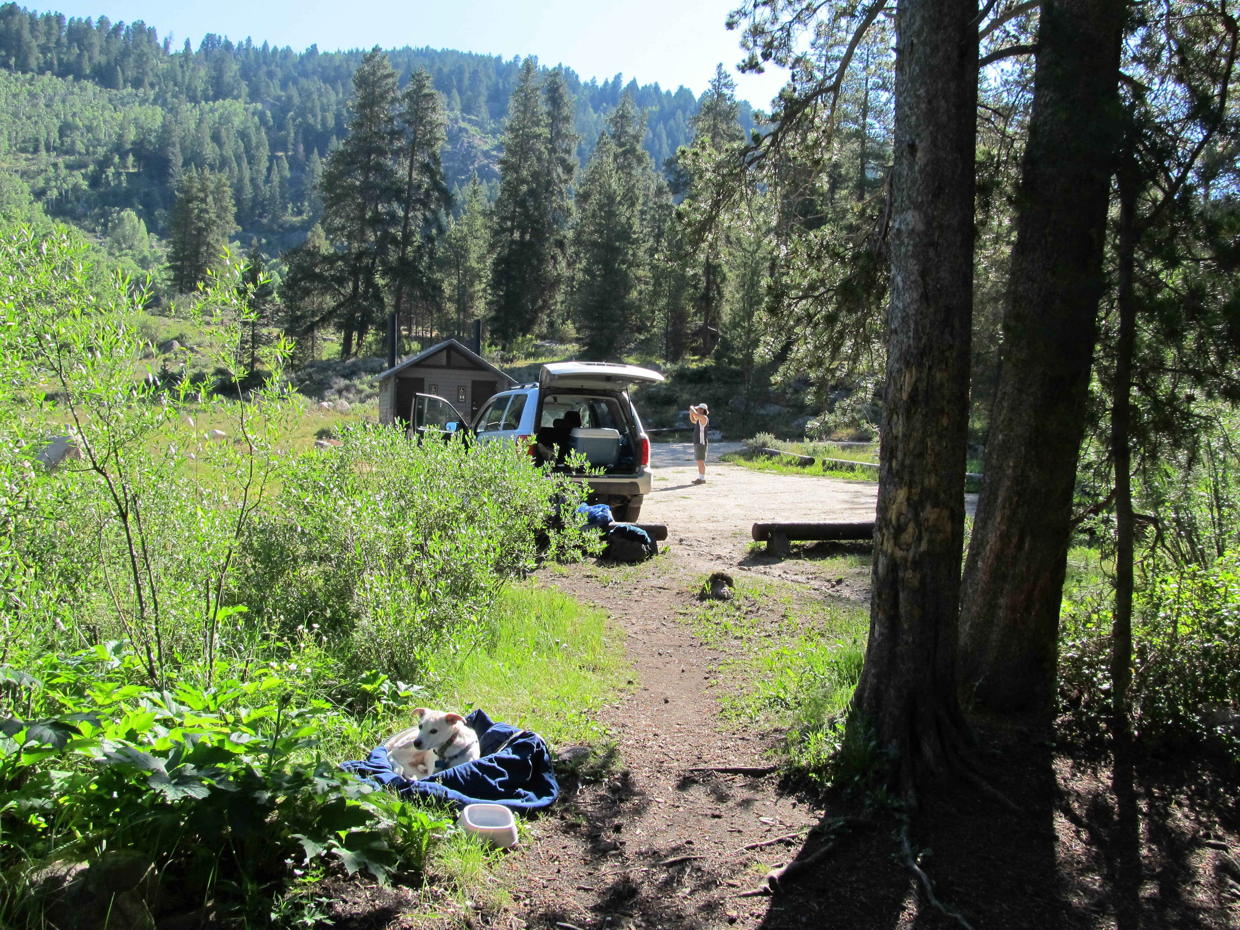 Escape To The Mountains: Your Guide To Colorado’s Chapman Campground