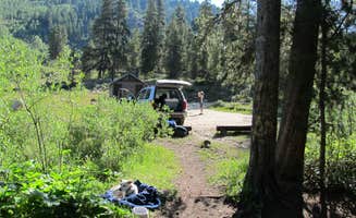 Lise F.'s photo of camping with pets at Chapman Campground And Group Camp - White River NF near White River National Forest