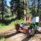 Review photo of Chapman Campground And Group Camp - White River NF by Lise F., April 8, 2021