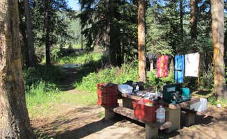 Lise F.'s photo at Chapman Campground And Group Camp - White River NF near White River National Forest