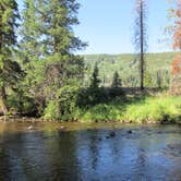 Review photo of Chapman Campground And Group Camp - White River NF by Lise F., April 8, 2021