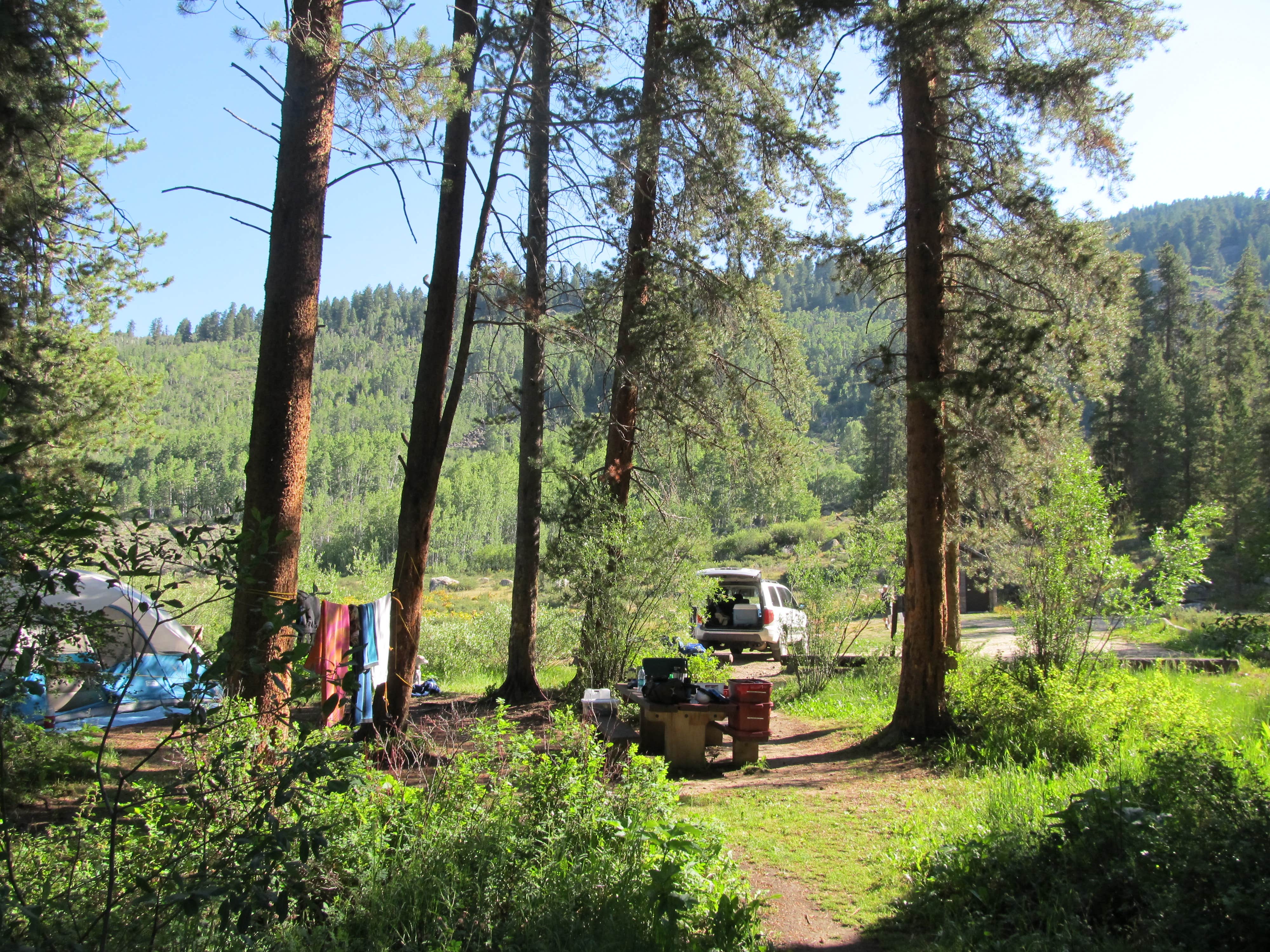 Lise F.'s photo at Chapman Campground And Group Camp - White River NF near White River National Forest