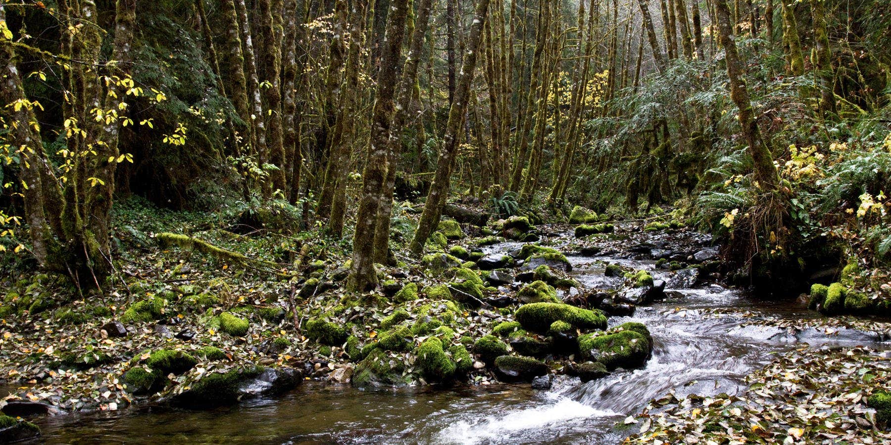 Camper-submitted photo at Hilltop Hideaway near Baker City, OR