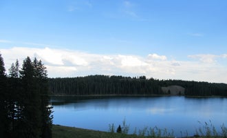 Camping near Weir and Johnson: Ward Lake Campground, Mesa Lakes, Colorado