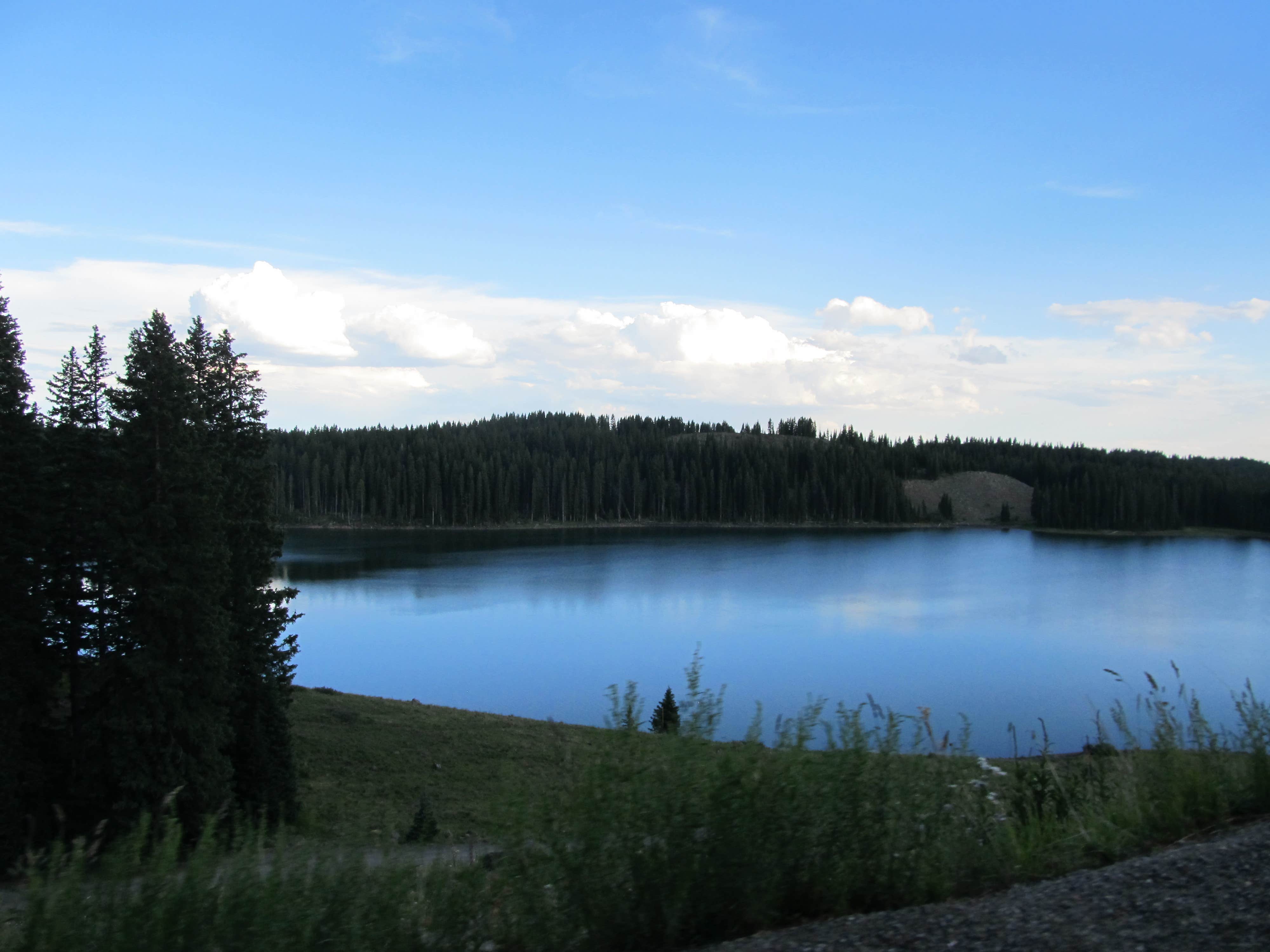 Camper submitted image from Ward Lake Campground - 1