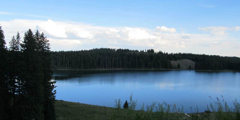 Camper submitted image from Ward Lake Campground