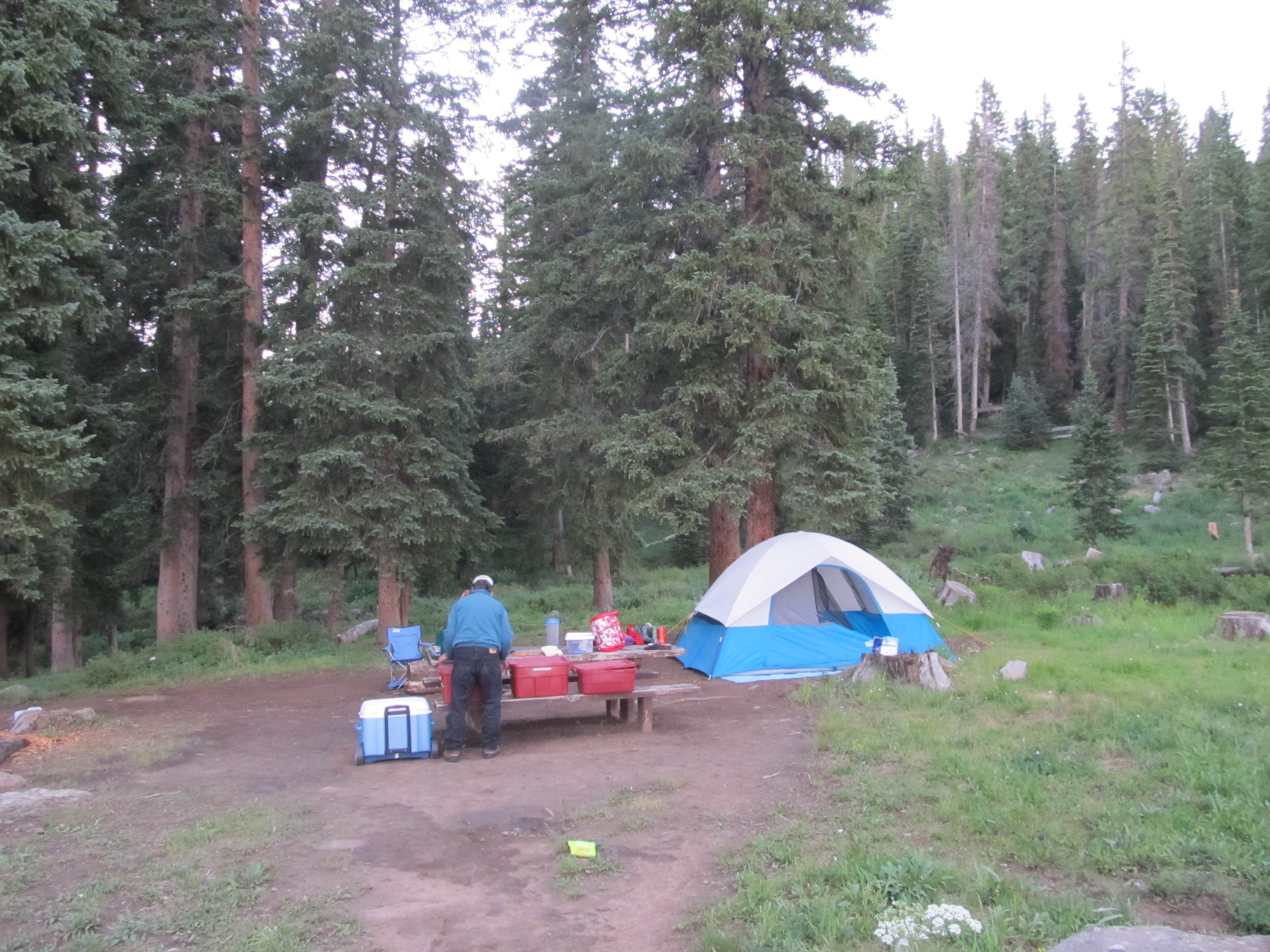 Lise F.'s photo at Ward Lake Campground near Delta, CO