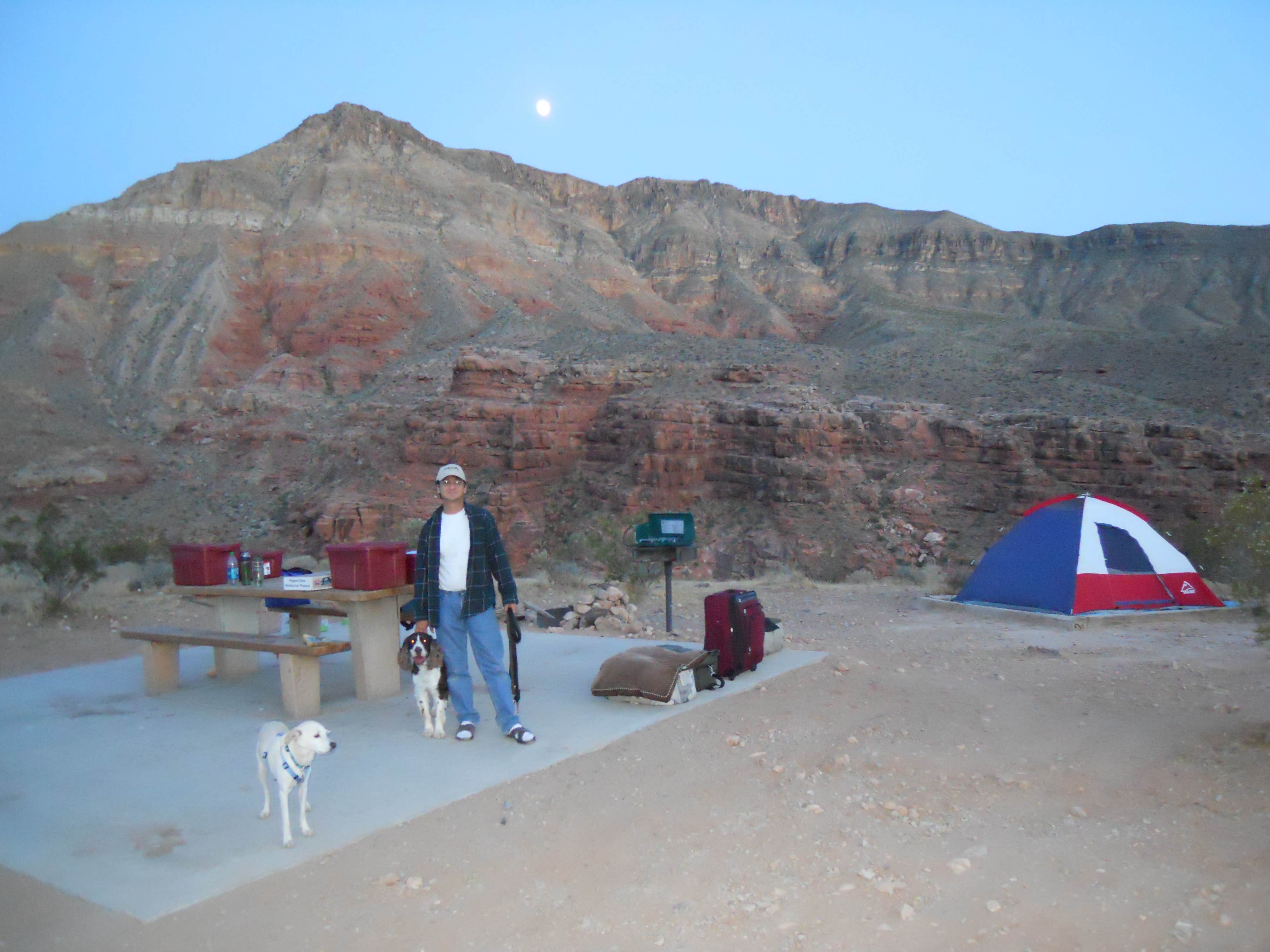 Lise F.'s photo at Virgin River Gorge Recreation Area Campground (BLM) near Littlefield, AZ