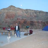 Review photo of Virgin River Gorge (BLM) by Lise F., April 8, 2021