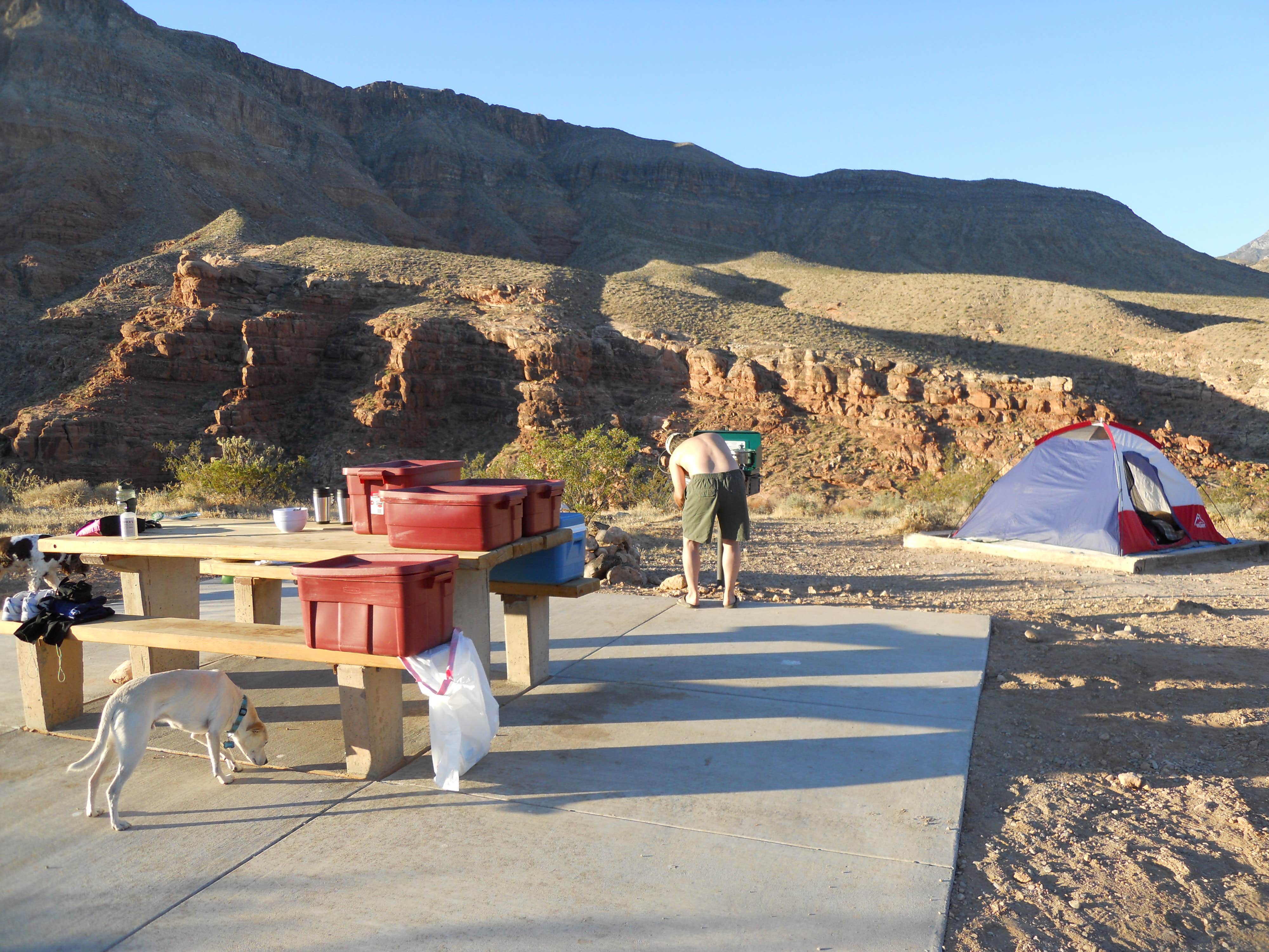 Lise F.'s photo at Virgin River Gorge Recreation Area Campground (BLM) near Bunkerville, NV