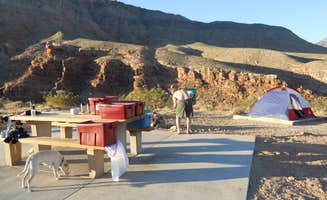Lise F.'s photo at Virgin River Gorge Recreation Area Campground (BLM) near Bunkerville, NV