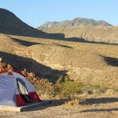 Review photo of Virgin River Gorge (BLM) by Lise F., April 8, 2021