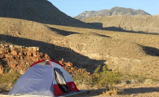 Lise F.'s photo at Virgin River Gorge Recreation Area Campground (BLM) near Bunkerville, NV