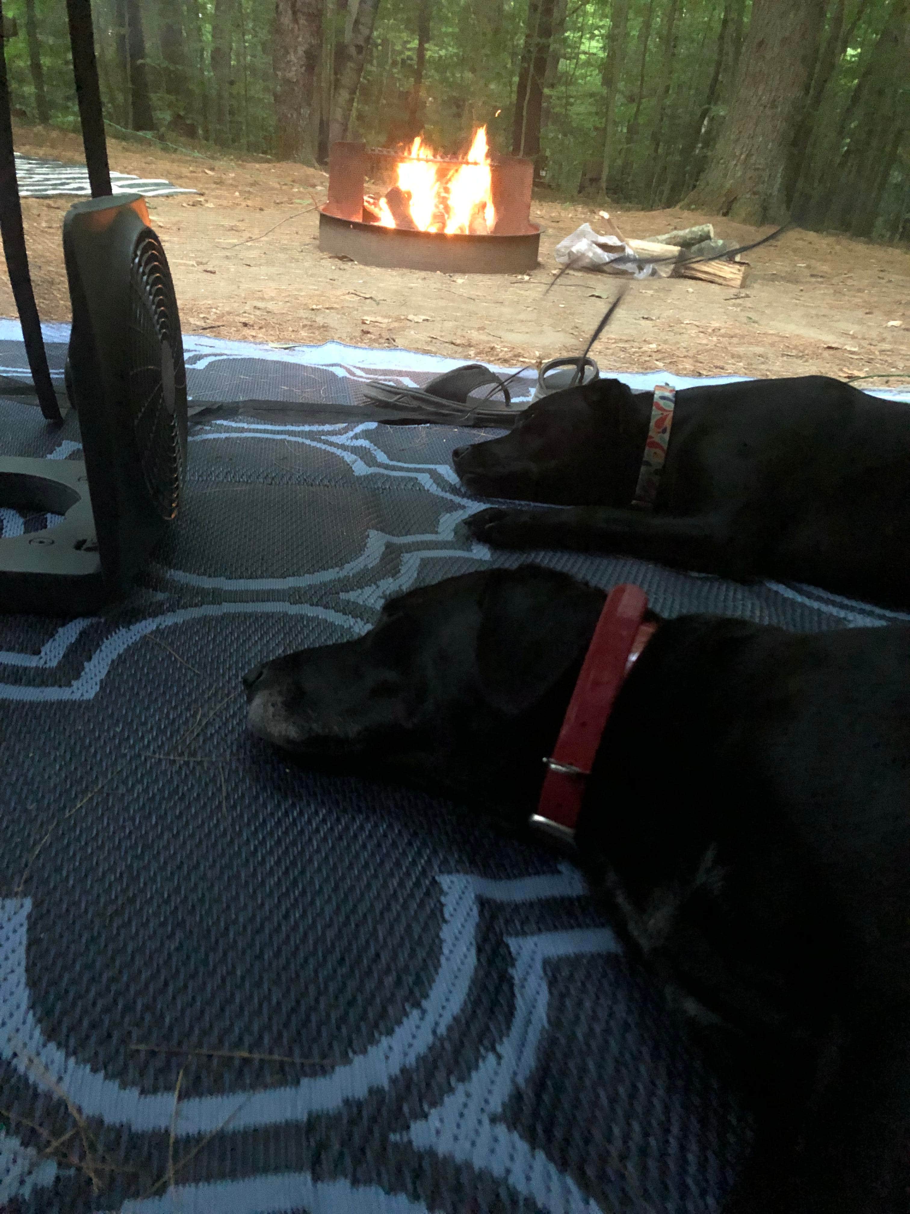 Camper-submitted photo at Granville State Forest near Norfolk, CT