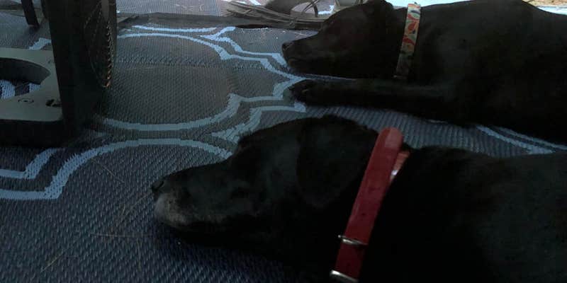 Camper submitted image from Granville State Forest