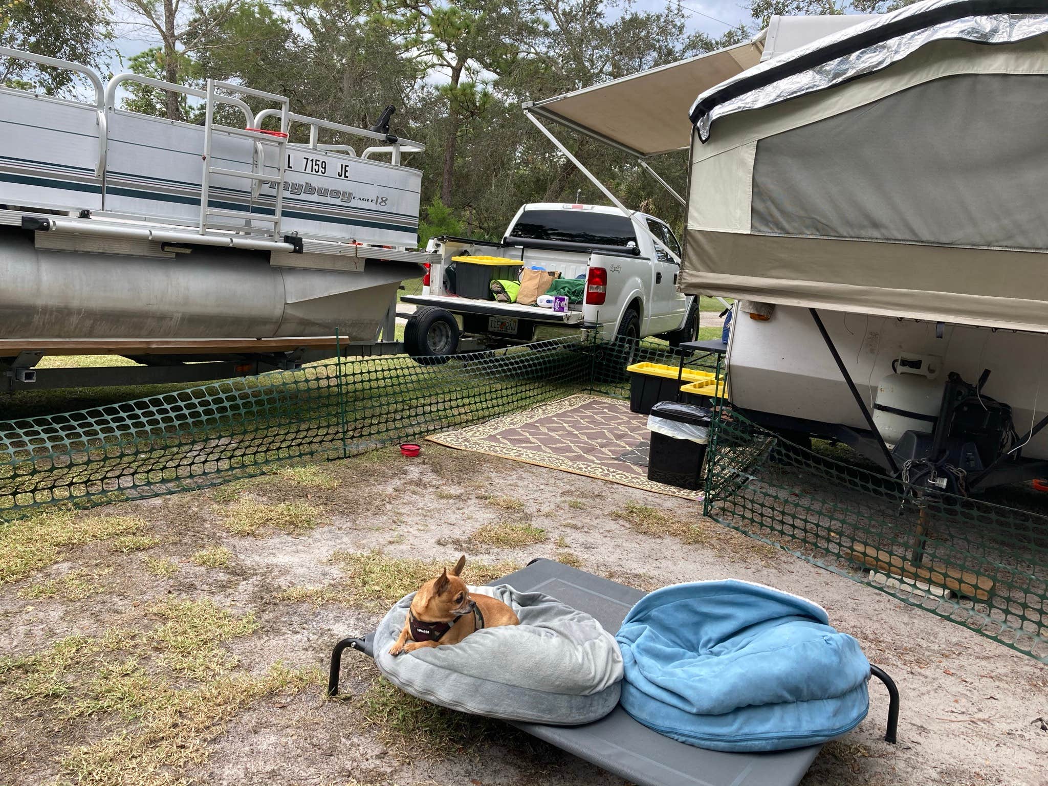 Laura F.'s photo at Donald MacDonald Campground near Patrick AFB, FL