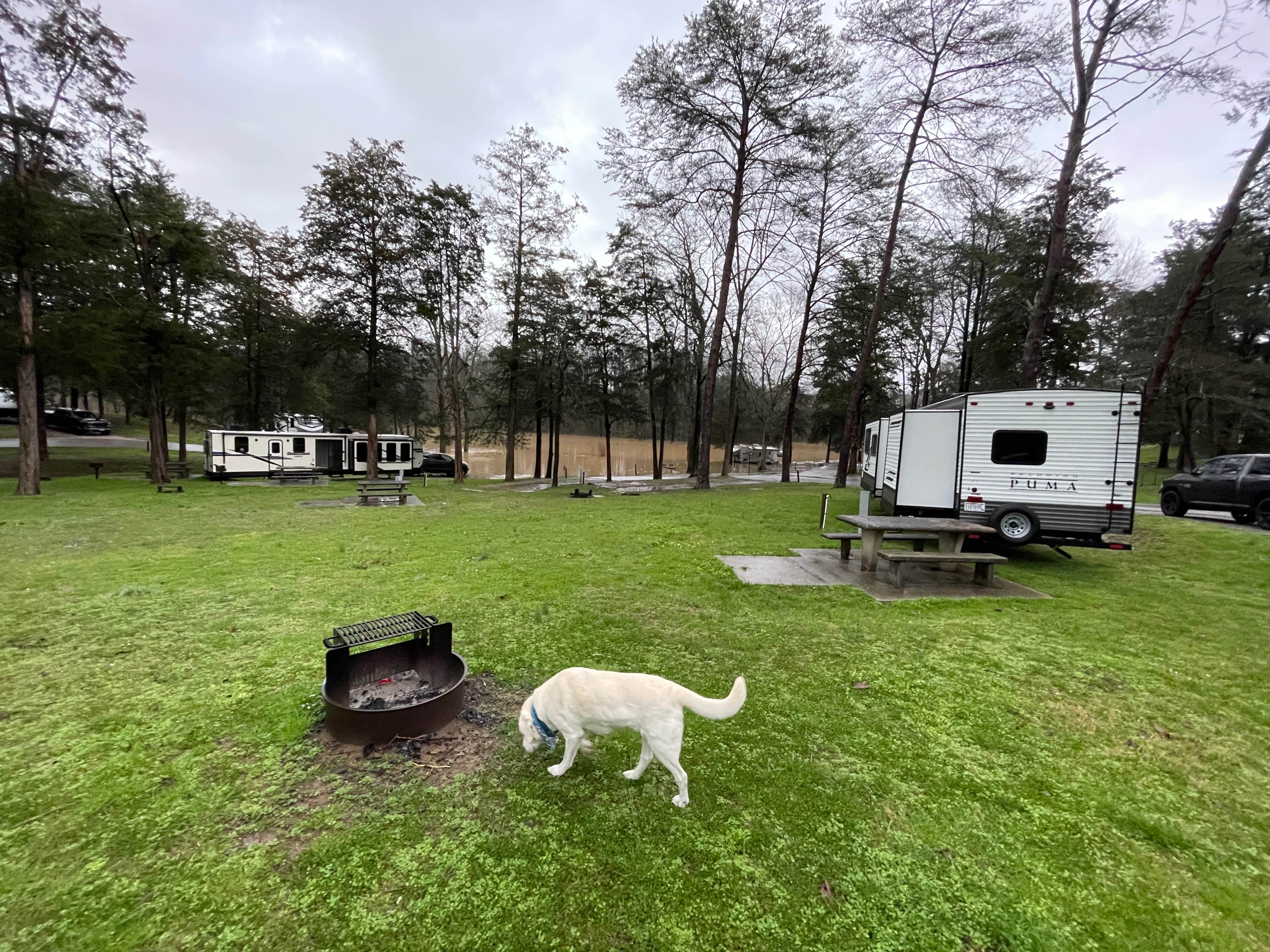 Tommy S.'s photo at Cove Lake State Park Campground near Helenwood, TN
