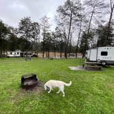 Review photo of Cove Lake State Park Campground by Tommy S., April 8, 2021