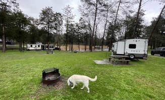Tommy S.'s photo at Cove Lake State Park Campground near Jellico, TN