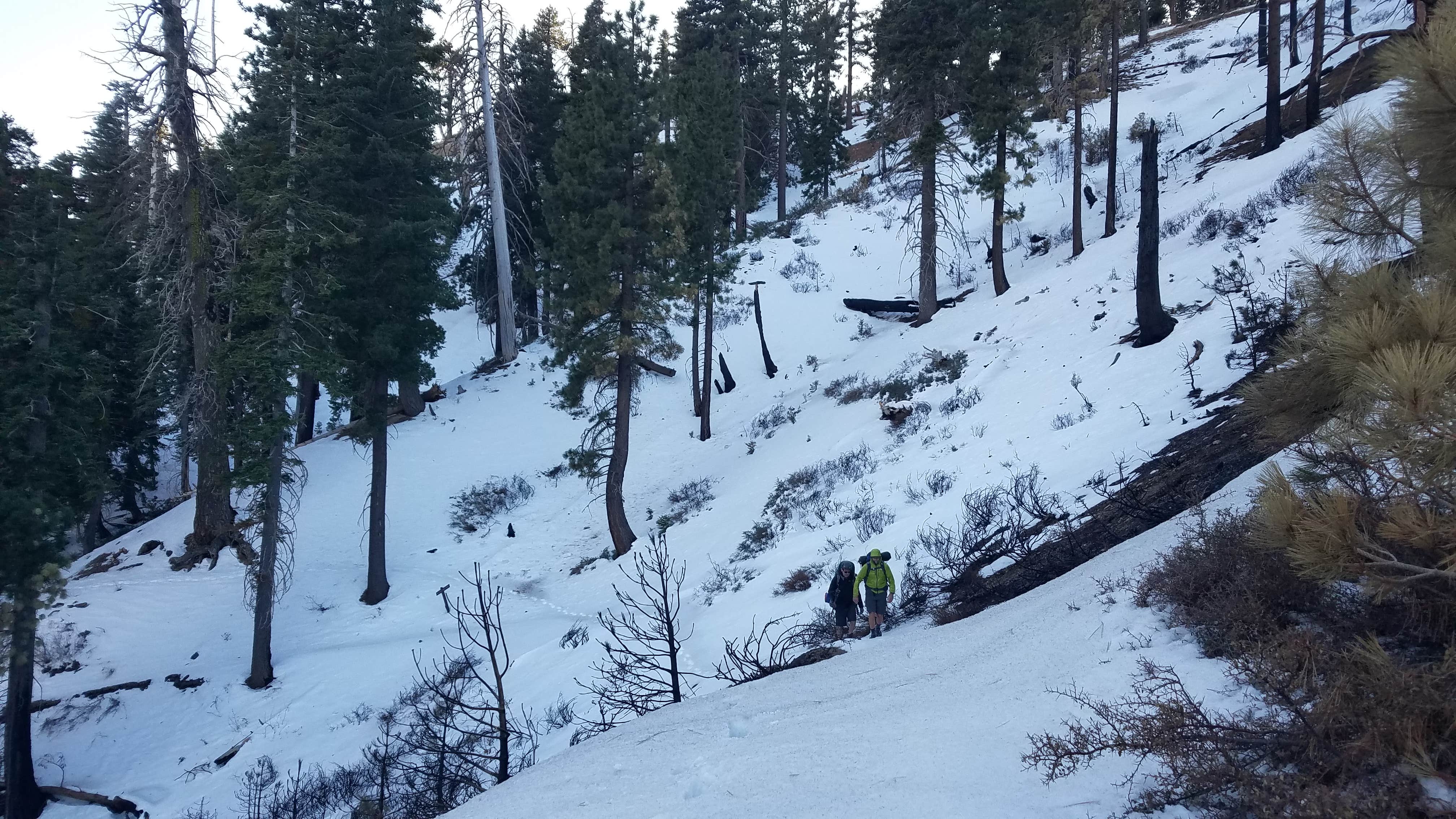 Camper submitted image from Little Jimmy Trail Campground - CLOSED DUE TO FIRE - 1