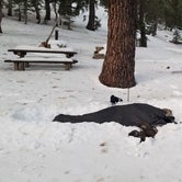 Review photo of Little Jimmy Trail Campground by Brian T., April 8, 2021