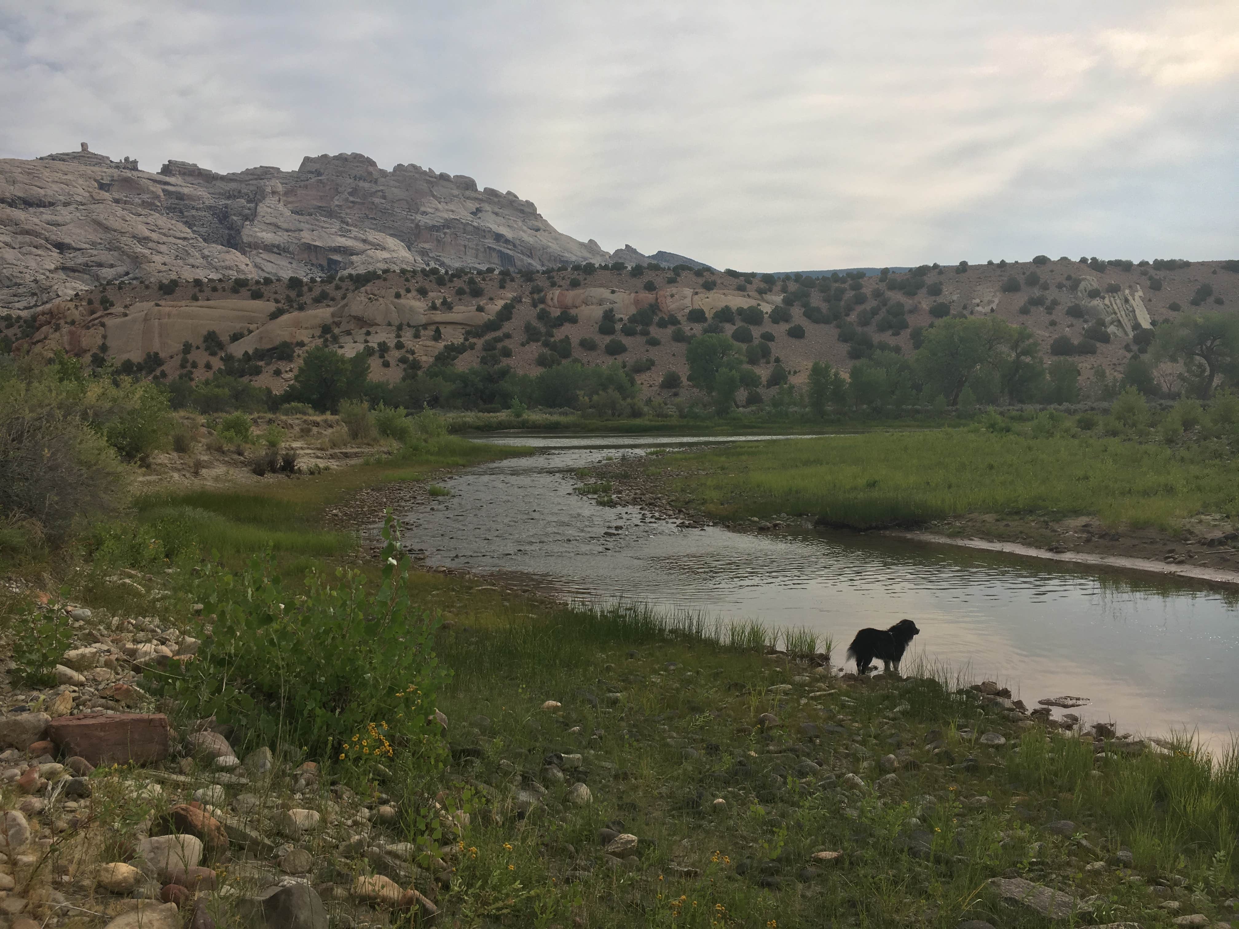 Lise F.'s photo of camping with pets at Split Mountain Group Campground — Dinosaur National Monument near Dinosaur National Monument