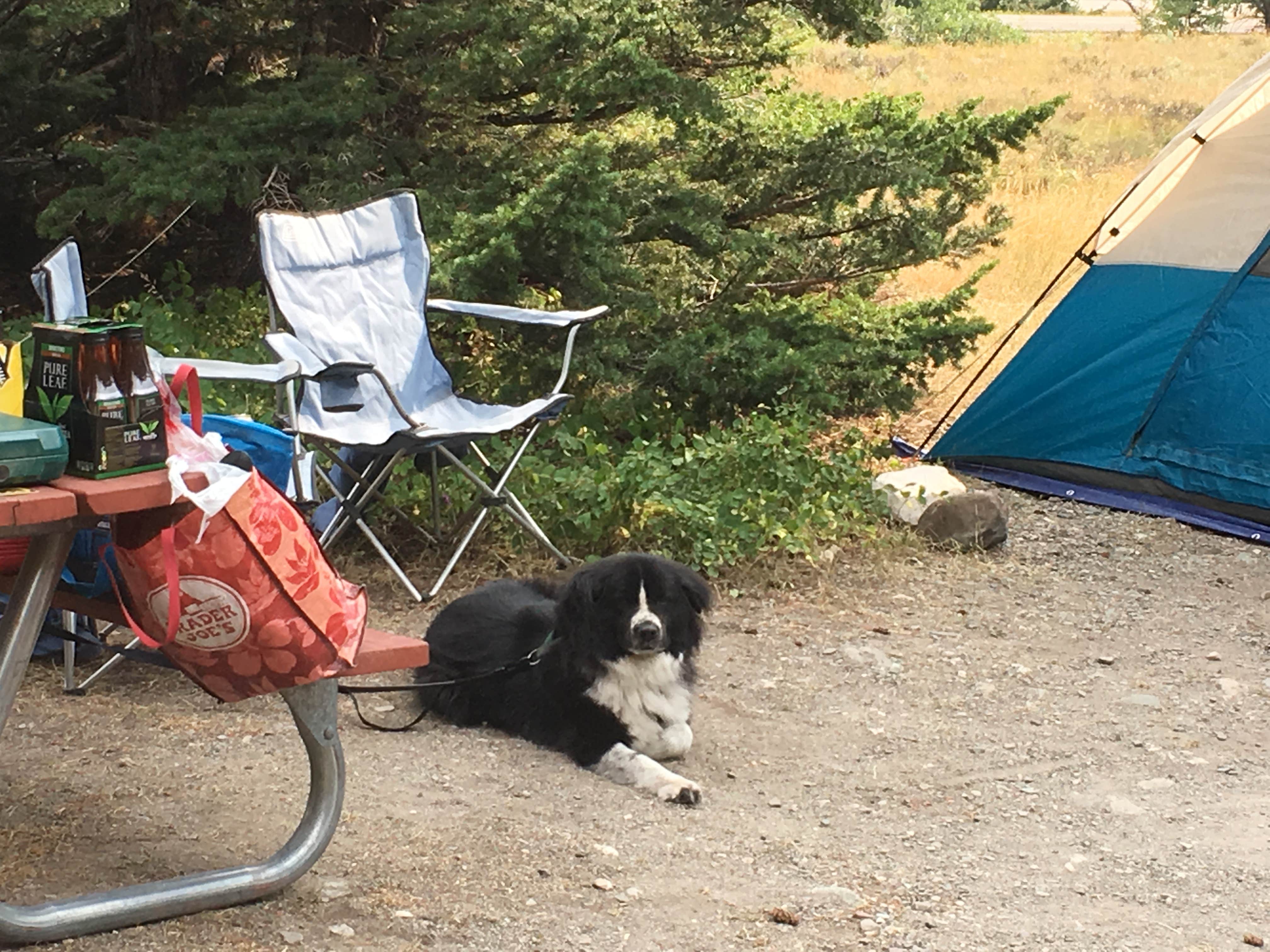 Lise F.'s photo at Rising Sun Campground — Glacier National Park near Glacier National Park