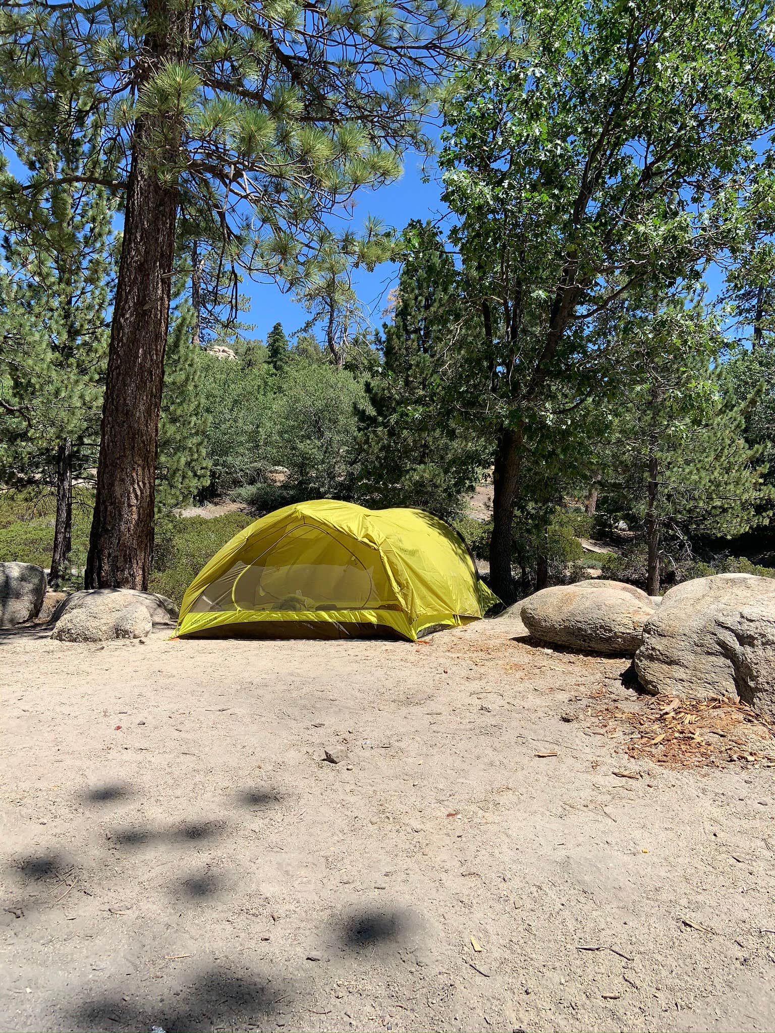 Camper submitted image from Keller Peak Yellow Post Campsites - 1