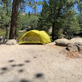 Review photo of Keller Peak Yellow Post Campsites by Lynn C., April 8, 2021