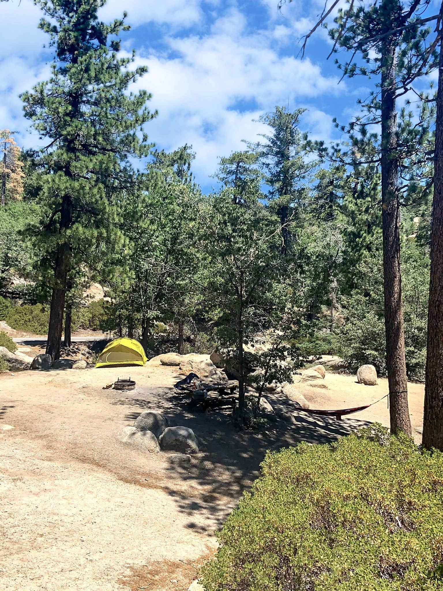 Camper submitted image from Keller Peak Yellow Post Campsites - 4