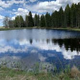 Review photo of Mueller State Park Campground by Kristen , April 9, 2021