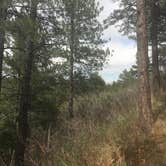 Review photo of Cheyenne Mountain State Park Campground by Kristen , April 9, 2021