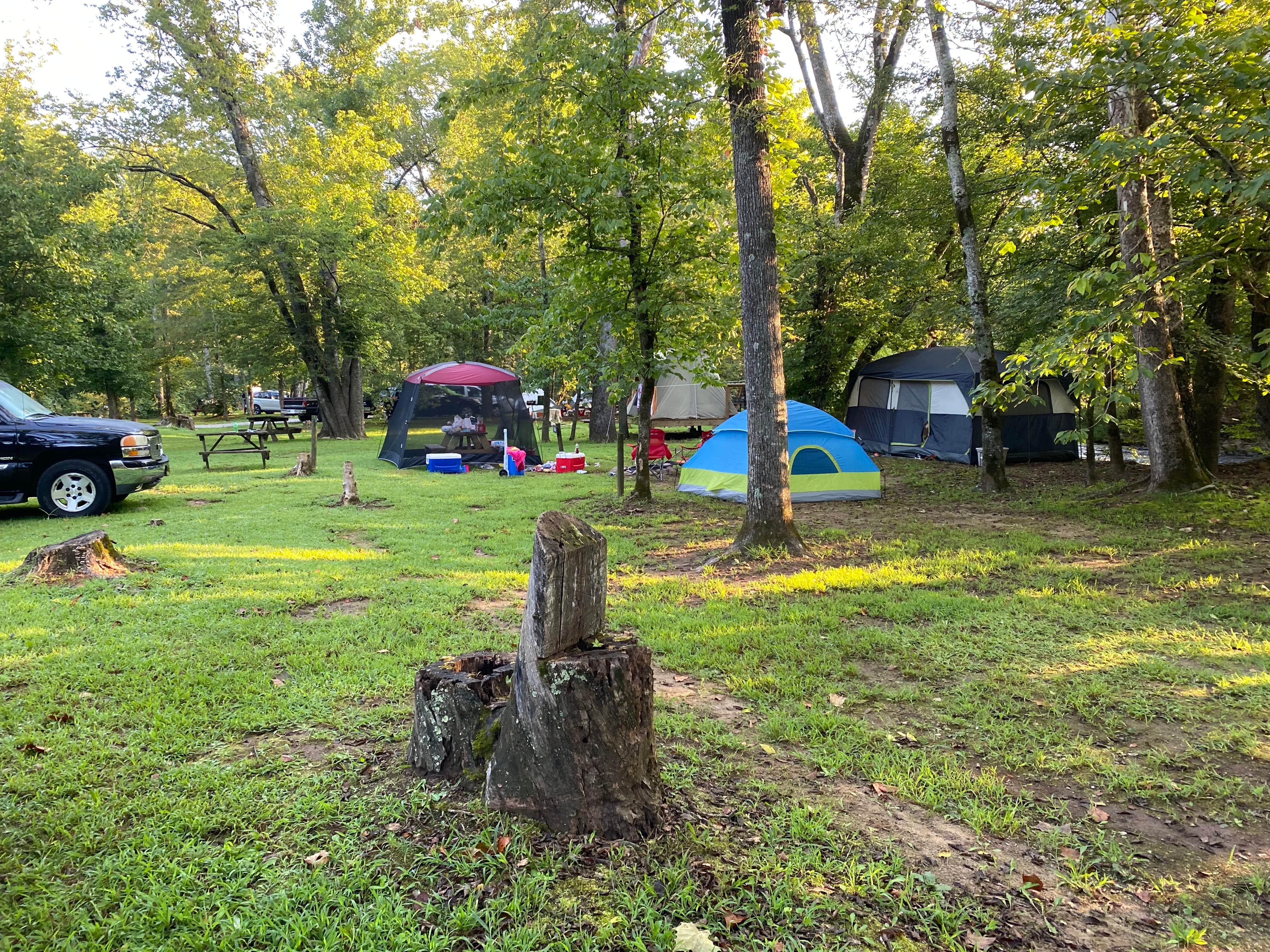 Tony M.'s photo at Triple Creek Campground near Cosby, TN