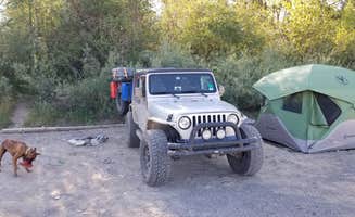 Price T.'s photo of tent camping at Blankenship Bridge - Dispersed Camping near Fortine, MT
