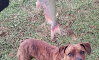 Price T.'s photo of camping with pets at Elm Grove — Historic Lake Scott State Park near Colby, KS