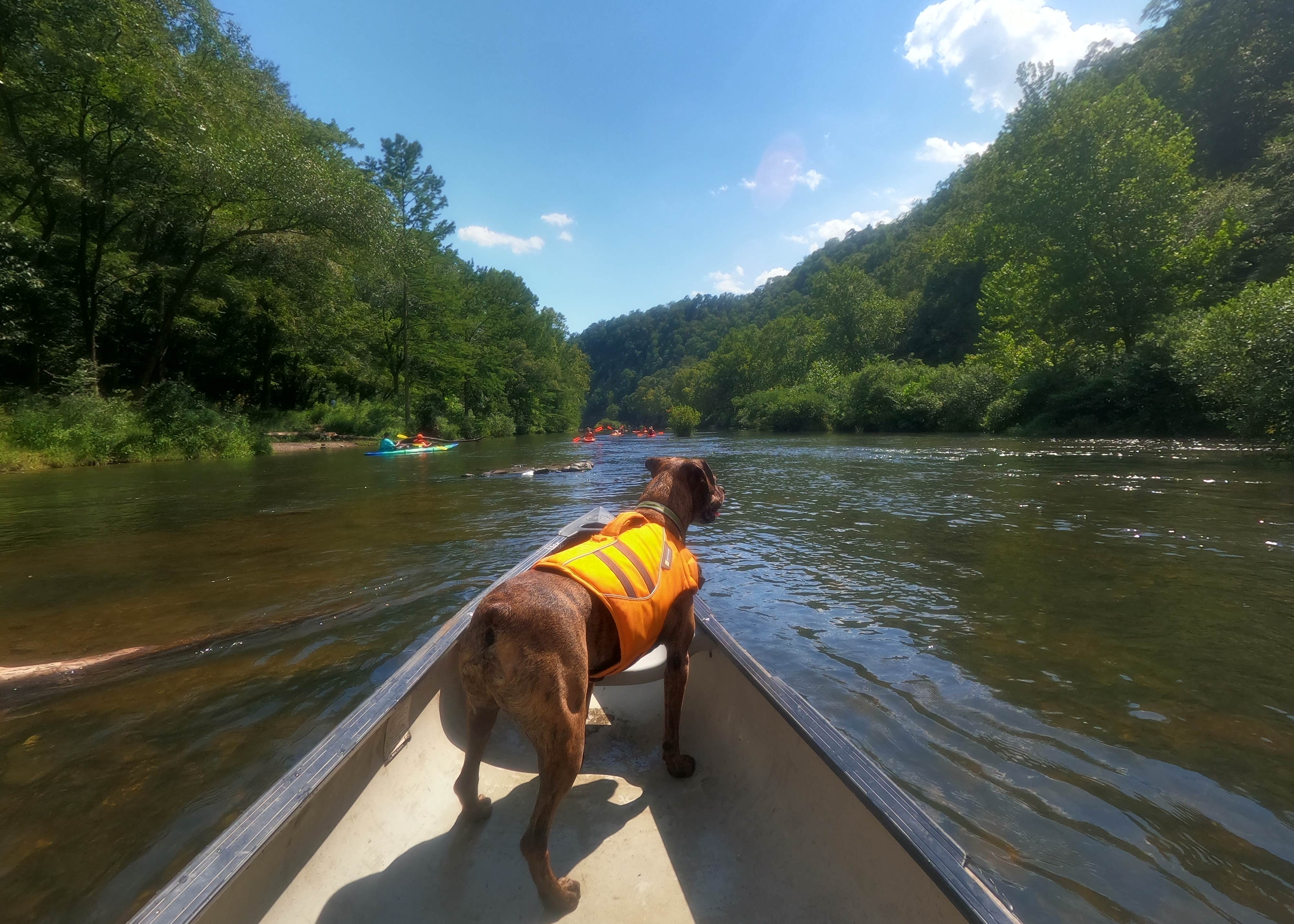 Beavers Bend & Hochatown State Park Camping | The Dyrt