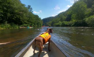 Price T.'s photo of camping with pets at Dogwood Campground — Beavers Bend State Park in Oklahoma